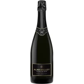 Вино игристое ЗГУ Крым Alma Valley BLANC DE NOIR