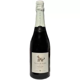 Вино игристое органическое выдержанное Villa Di Alma РИСЛИНГ