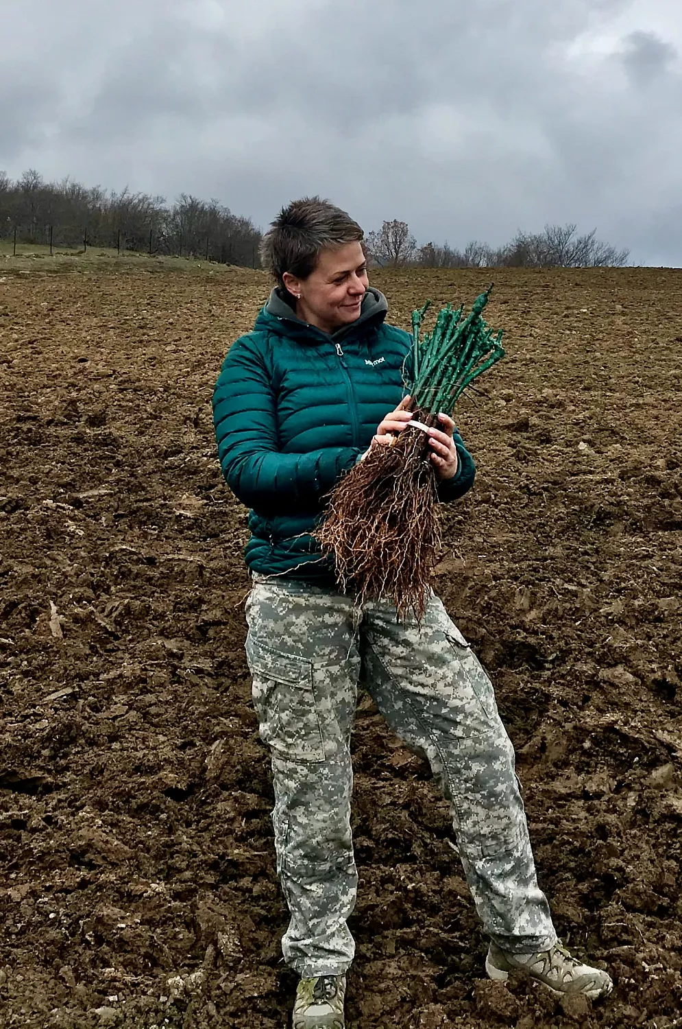 Oxana Istratova Wine