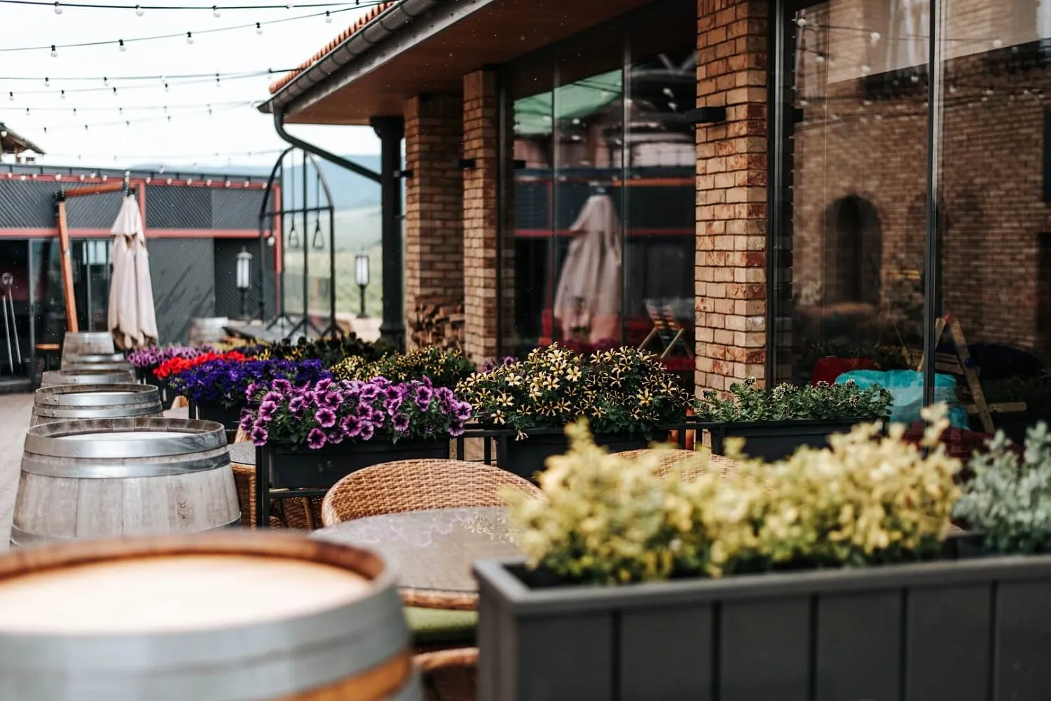 Винодельня 78