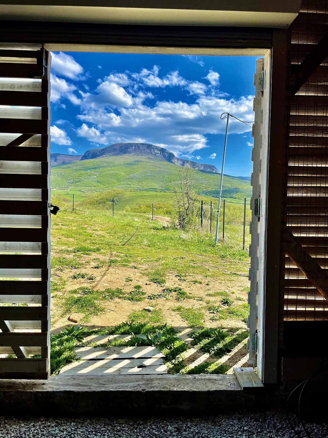 Oxana Istratova Wine