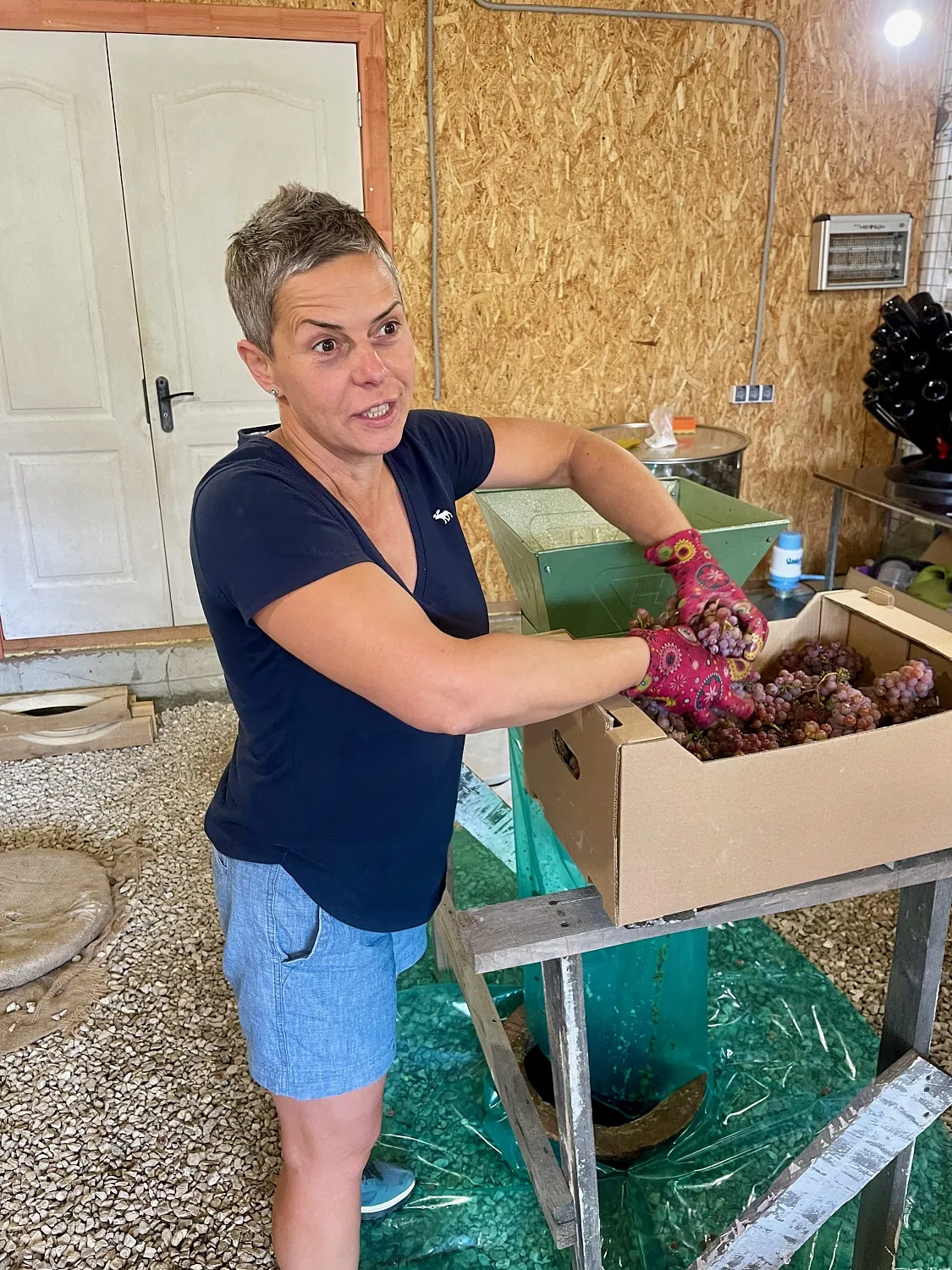 Oxana Istratova Wine