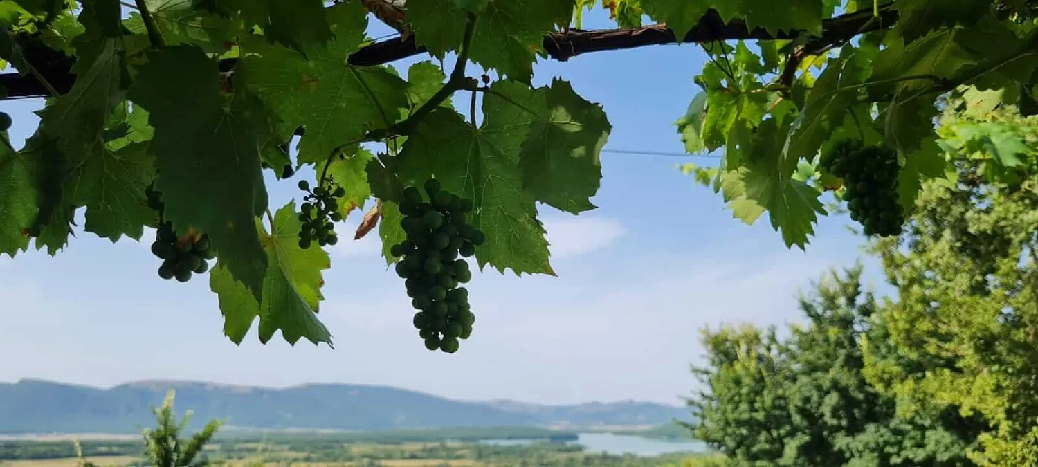 Вилла Уркуста