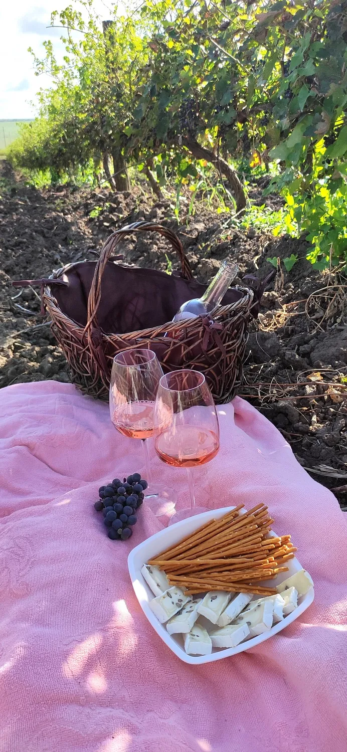 Винодельня Романов