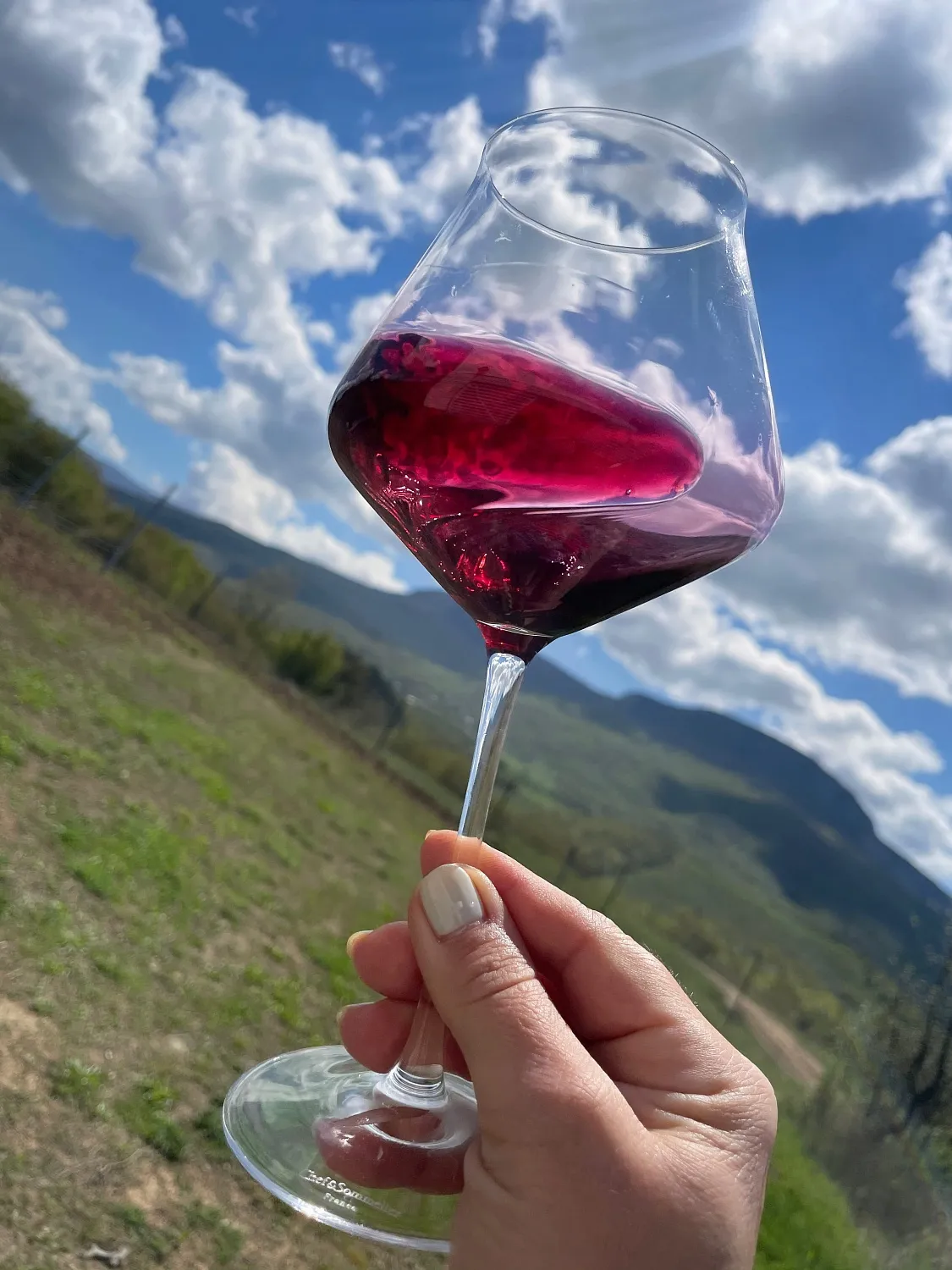 Oxana Istratova Wine