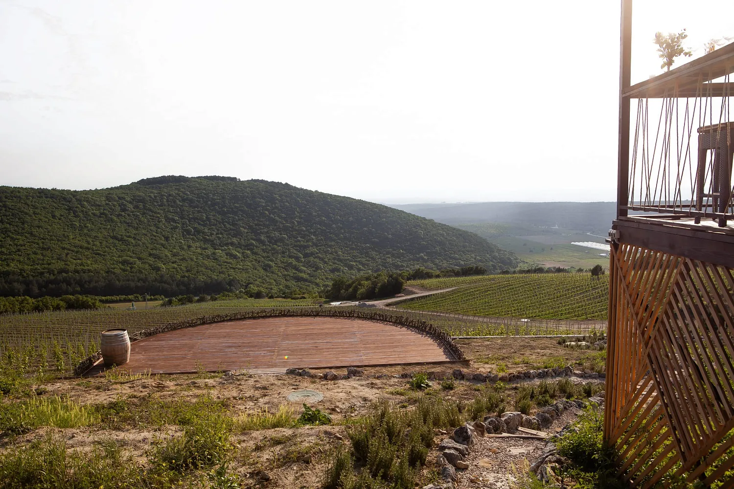Усадьба «Родное гнездо»