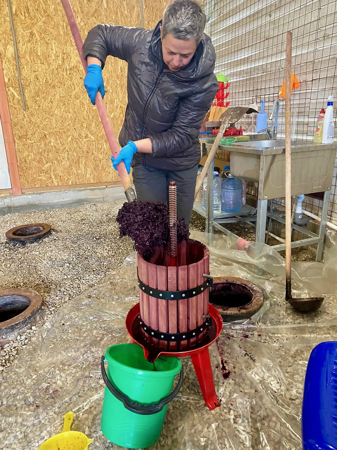 Oxana Istratova Wine