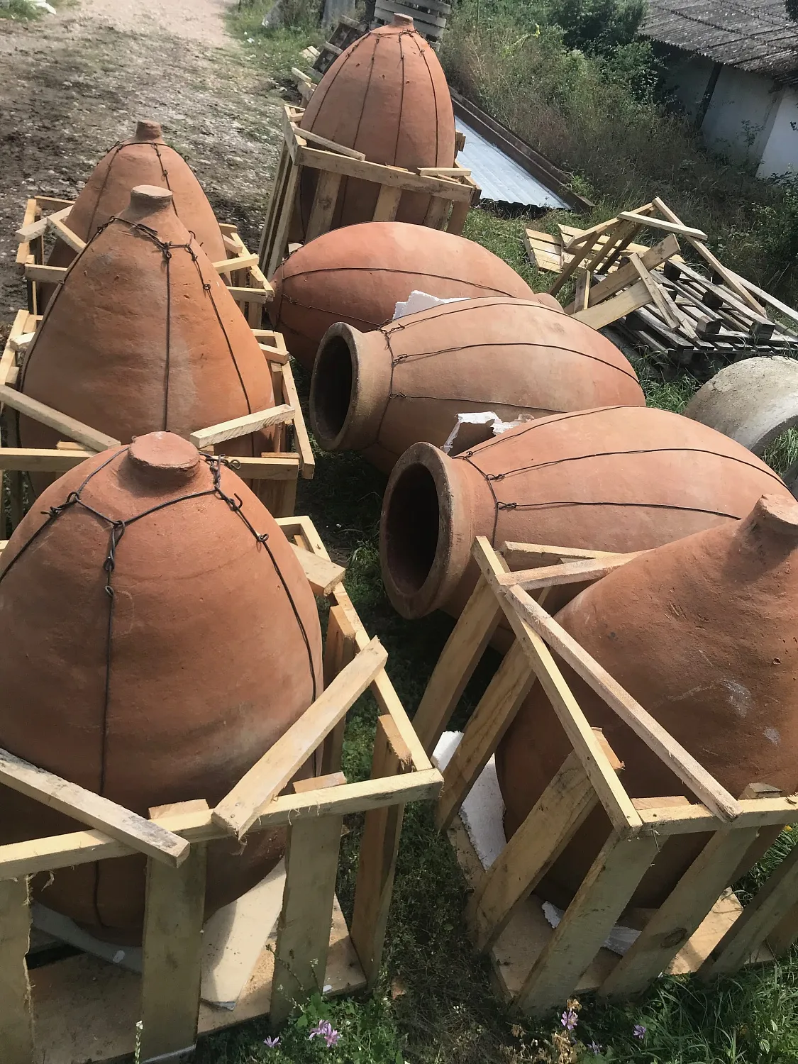 Oxana Istratova Wine