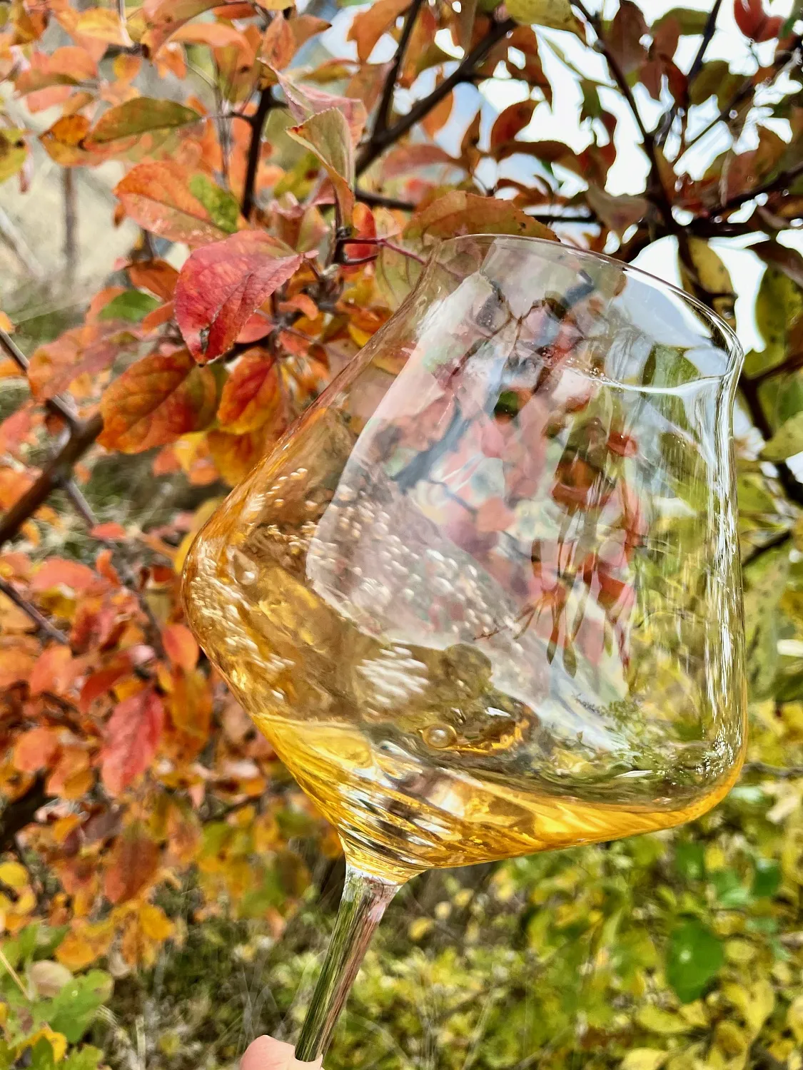 Oxana Istratova Wine