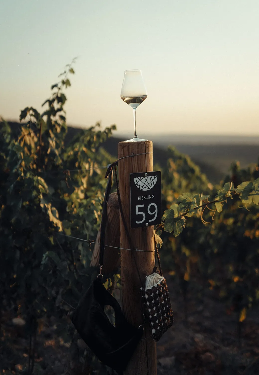 Усадьба «Родное гнездо»