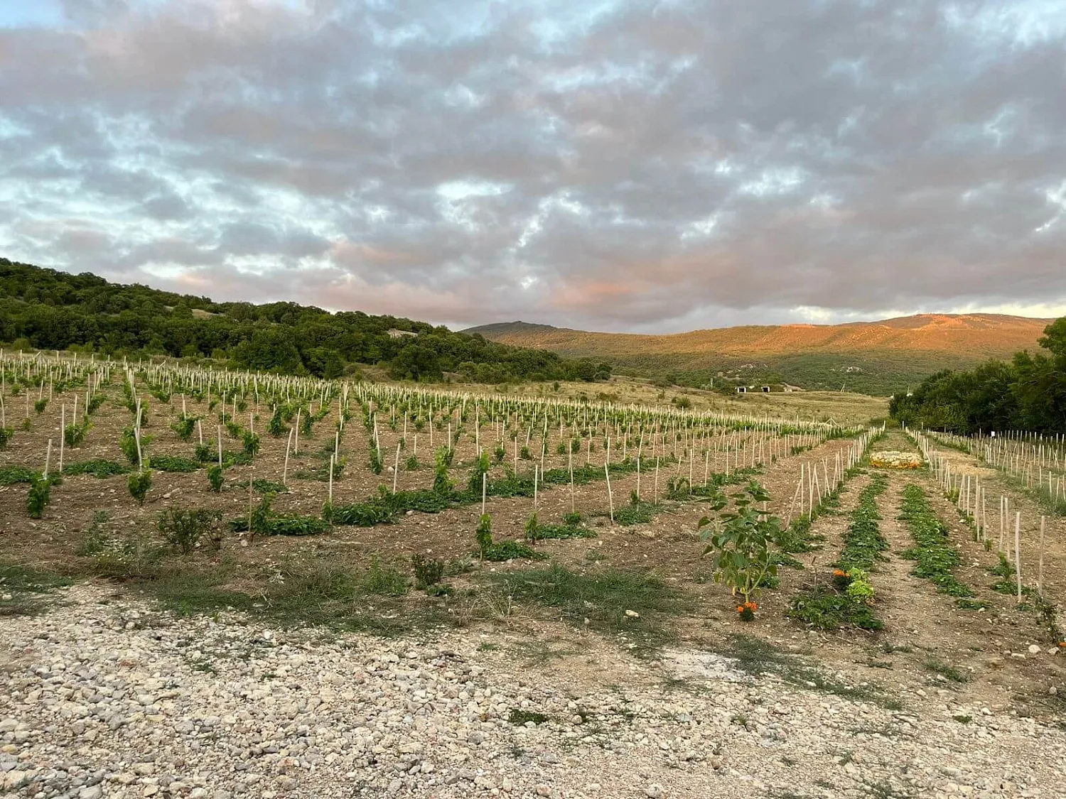 Вилла Уркуста