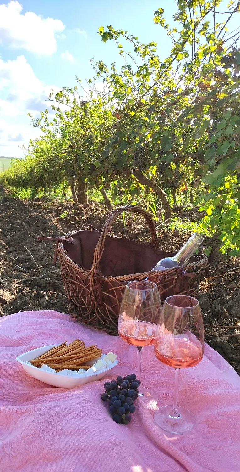 Винодельня Романов