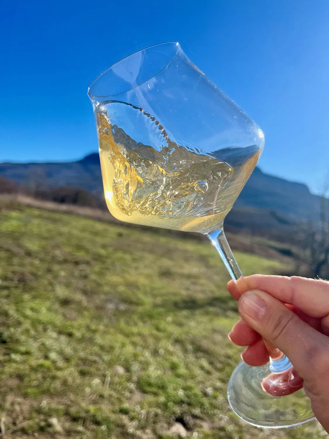 Oxana Istratova Wine