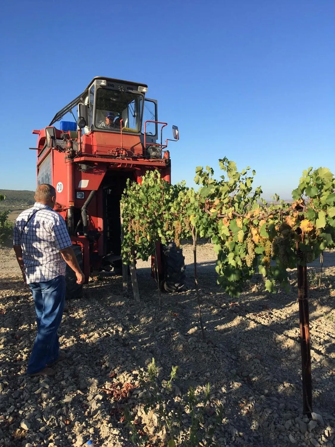 Винзавод «Долина»